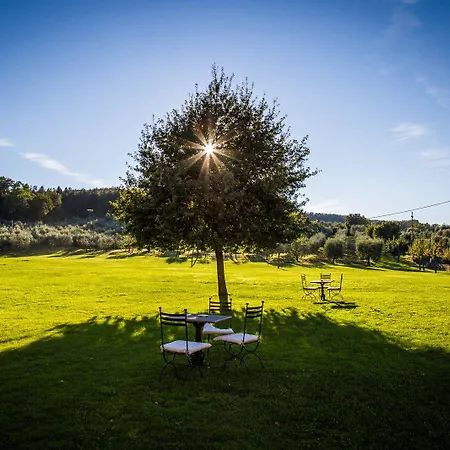Campestri Olive Oil Ξενοδοχείο Vicchio