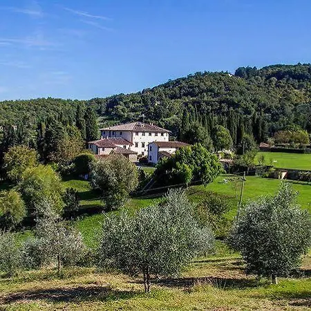Campestri Olive Oil Vicchio