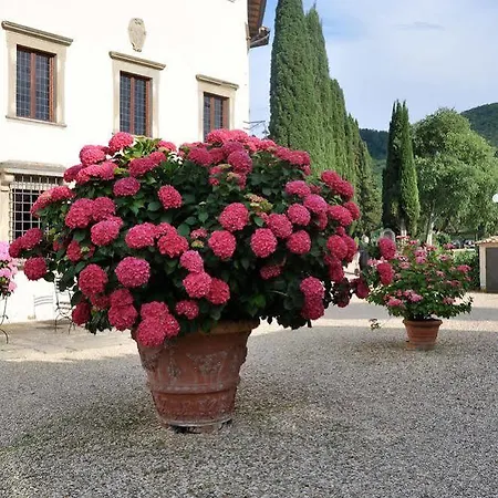 Hotel Campestri Olive Oil Vicchio