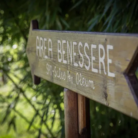 Campestri Olive Oil 4* Vicchio