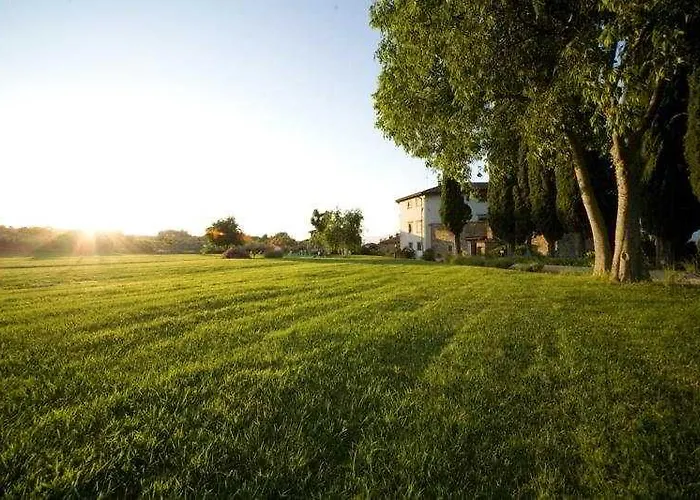 Hotel Campestri Olive Oil 4*