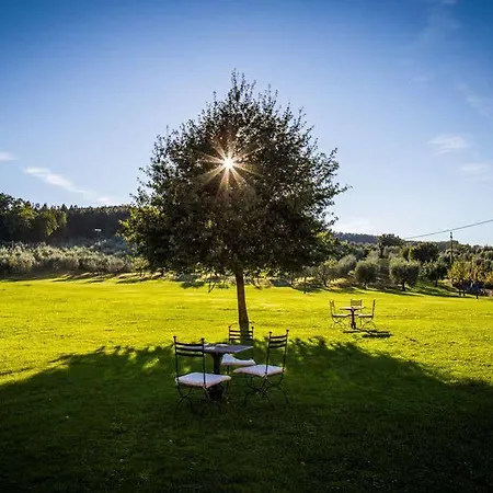 Hotel Campestri Olive Oil